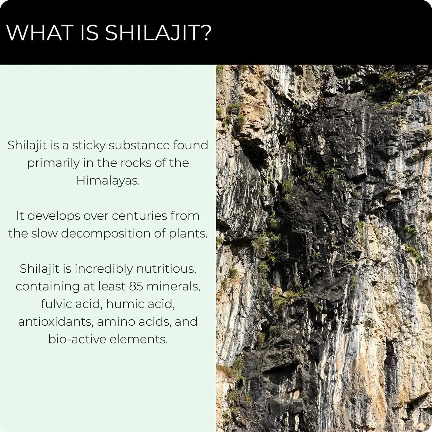 Shilajit Essential Extract